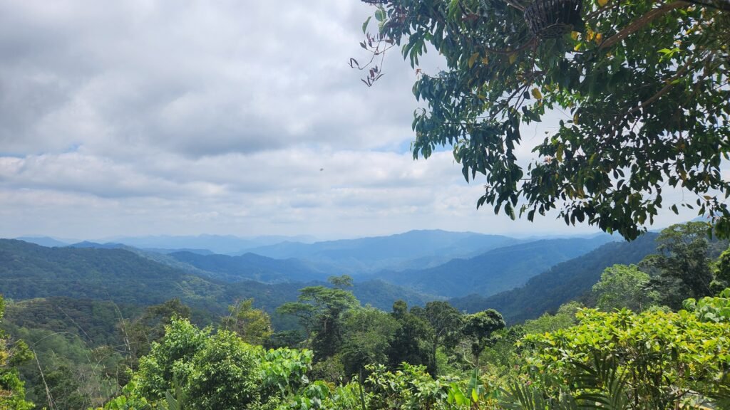 Tây Giang Quảng Nam