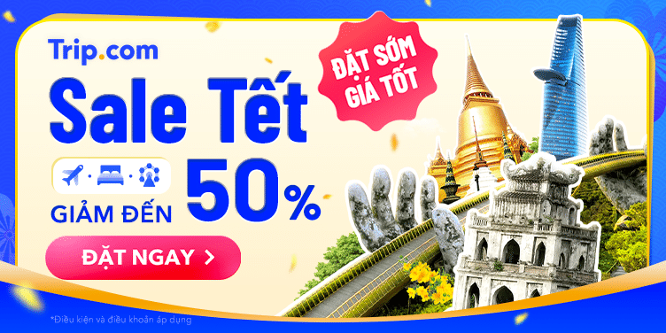 hubvivu săn sale tết 2026 giảm 50%