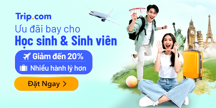 Hubvivu Đặt vé máy bay tết 2026